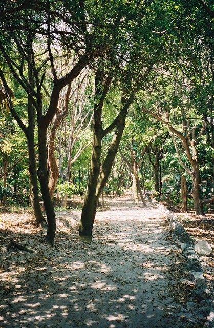 El Rey ruins - 1 km up the road from the hotel