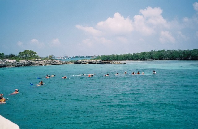 snorkelling