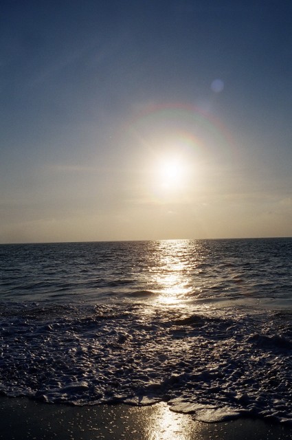 Thursday PM (December 29th)