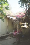 Maria's house, where she made us fresh fajitas and guacamole.