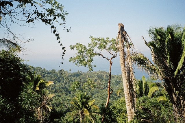 The 'jungle' of San Fransisco....Mexico, that is.