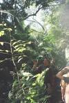 Manuel shows us an avocado tree