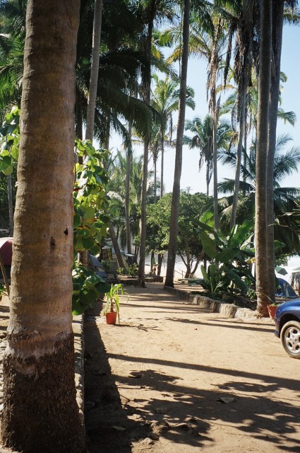 out of the 'jungle' and to our own private beach for lunch!