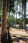 out of the 'jungle' and to our own private beach for lunch!